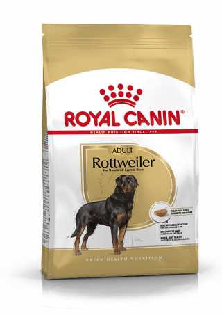 Rottweiler Adult